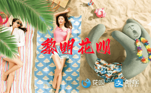 一身是胆花呗